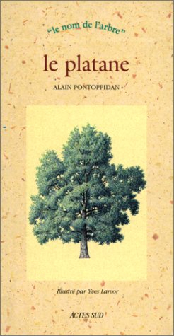 Le platane