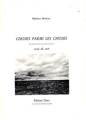 Choses parmi les choses : essai de voir