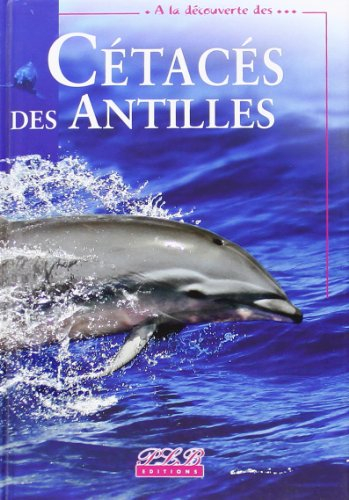 a la découverte cetaces des antilles