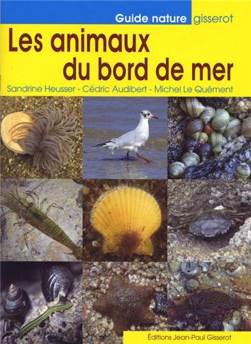 Les animaux du bord de mer