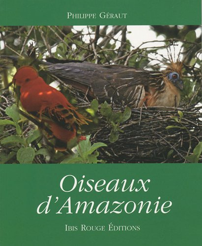 Oiseaux d'Amazonie