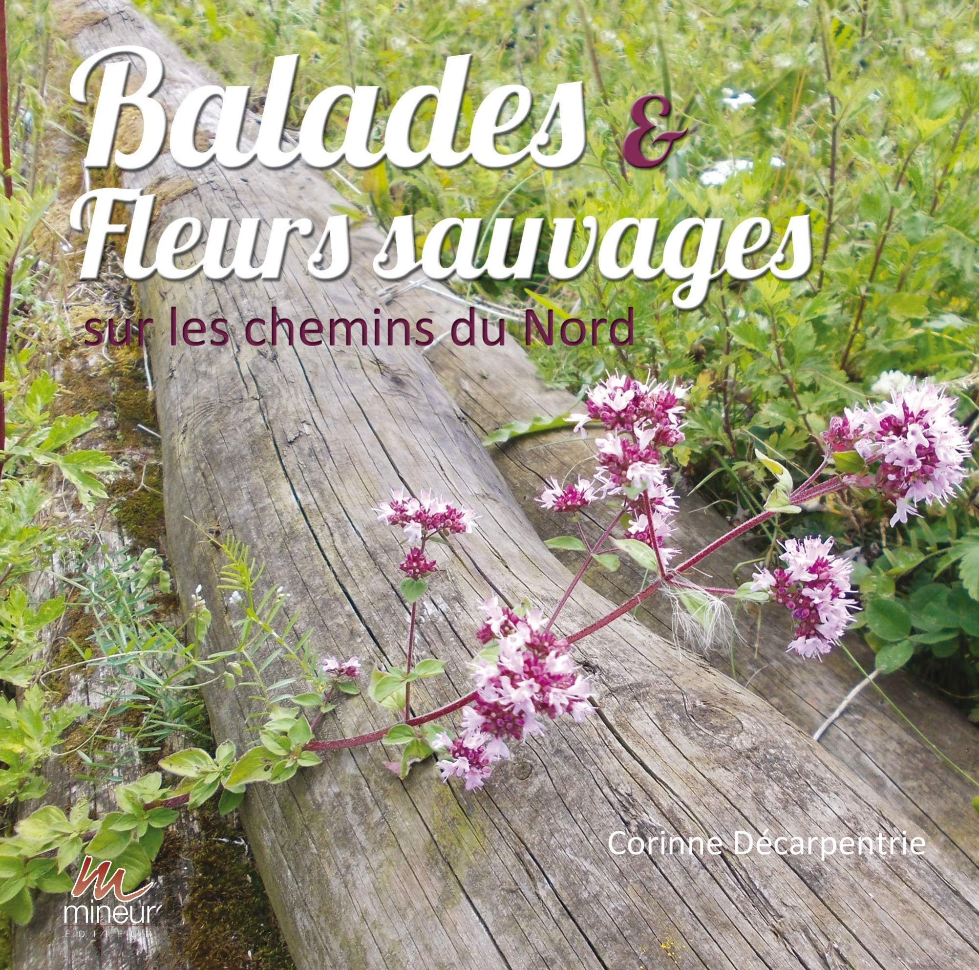 Balades & fleurs sauvages sur les chemins du Nord : des centaines de photos et d'infos utiles