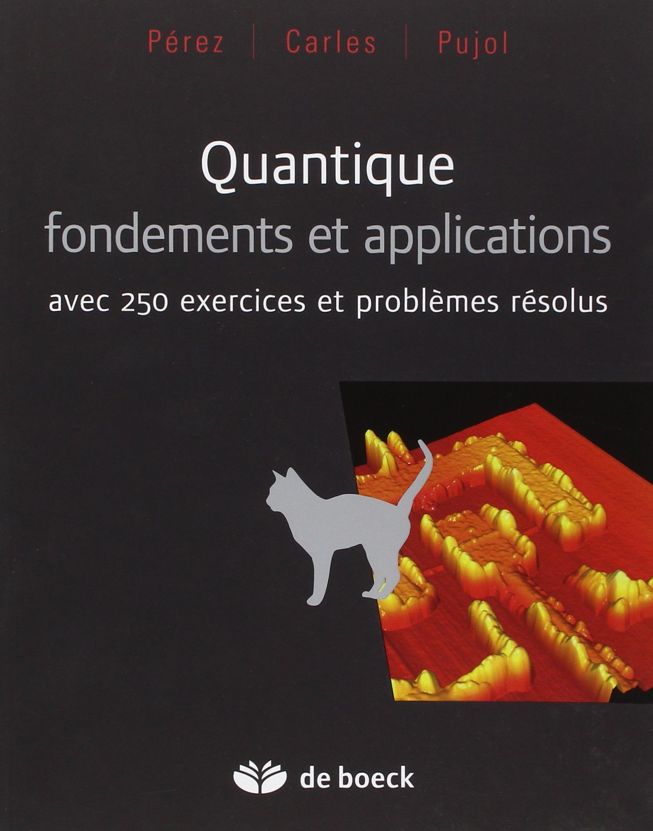 Quantique, fondements et applications : avec 250 exercices et problèmes résolus