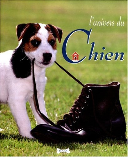 l'univers du chien