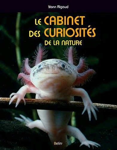 Le cabinet des curiosités de la nature