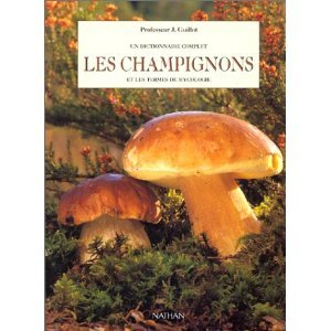 les champignons et les termes de mycologie