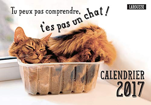 Tu peux pas comprendre, t'es pas un chat : calendrier 2017