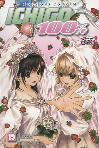Ichigo 100 %. Vol. 19. Un scénario plein de joie