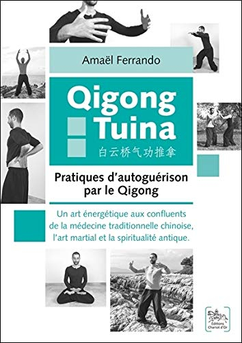 Qigong tuina : pratiques d'autoguérison par le qigong : un art énergétique aux confluents de la méde