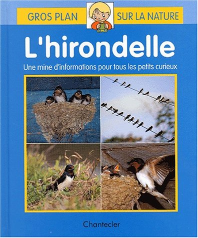 L'hirondelle : une mine d'informations pour tous les petits curieux