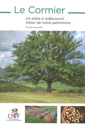 Le cormier : un arbre à redécouvrir, trésor de notre patrimoine