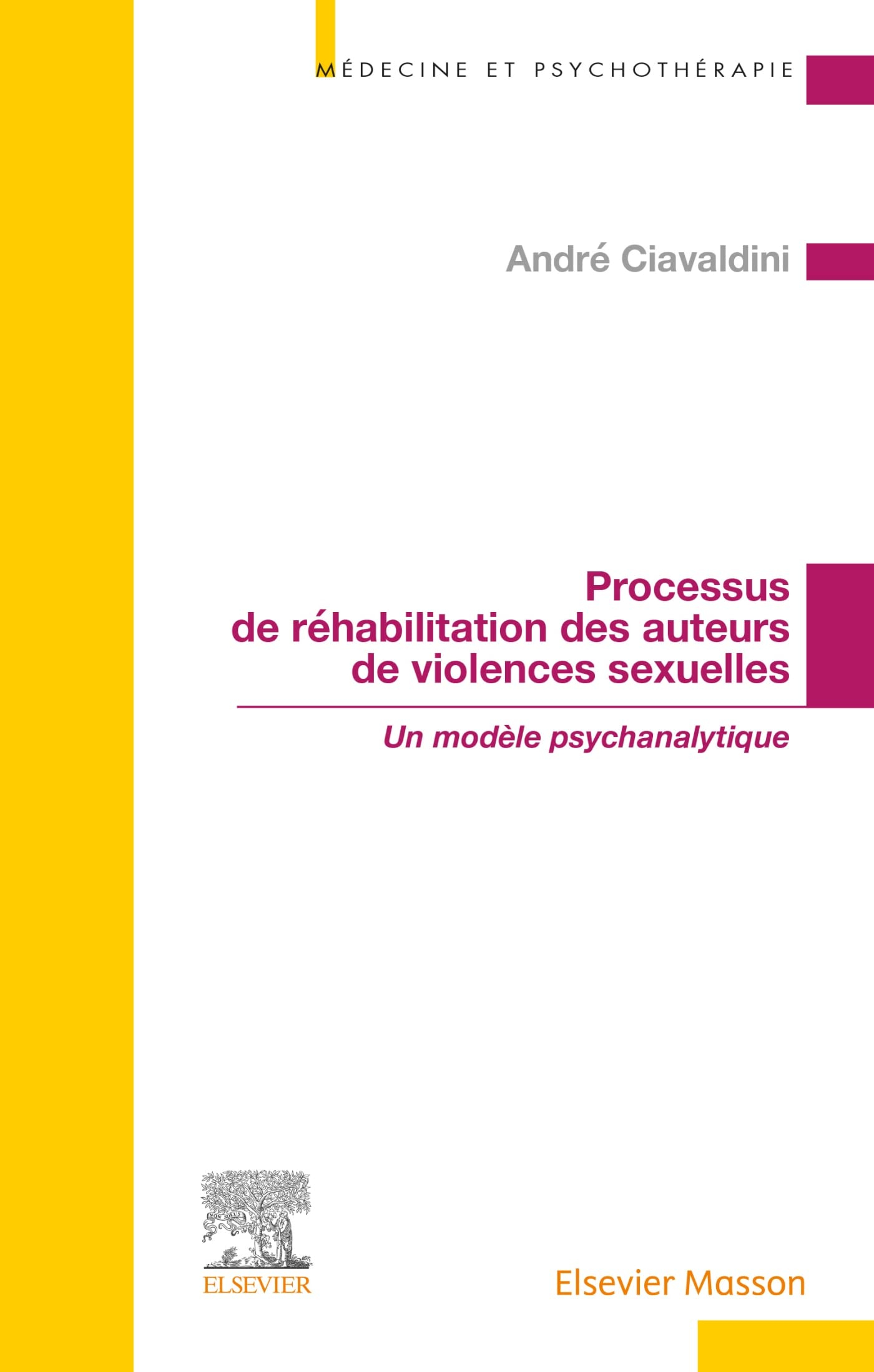 Processus de réhabilitation des auteurs de violences sexuelles : un modèle psychanalytique