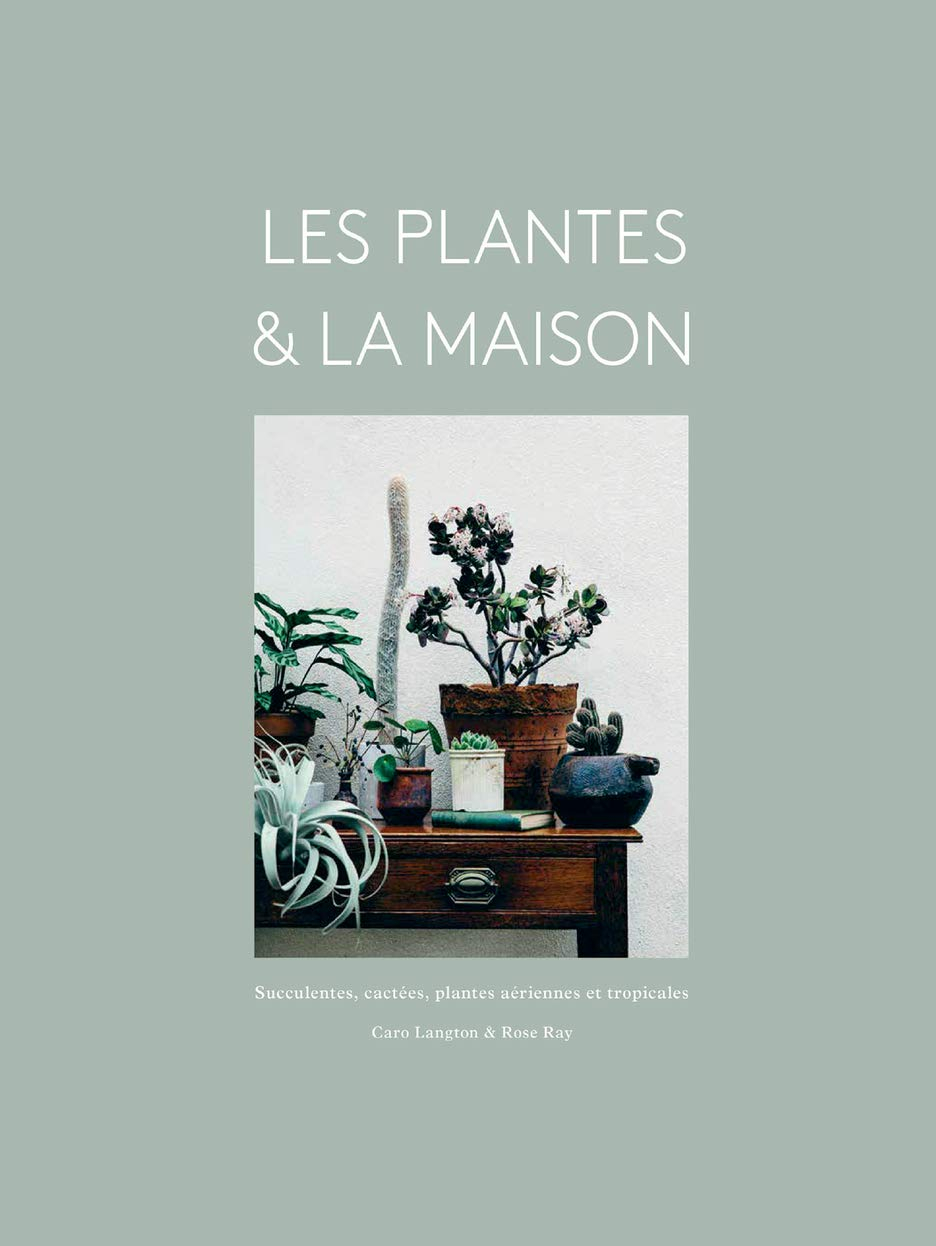 Les plantes & la maison : succulentes, cactées, plantes aériennes et tropicales