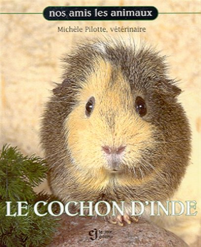 le cochon d'inde