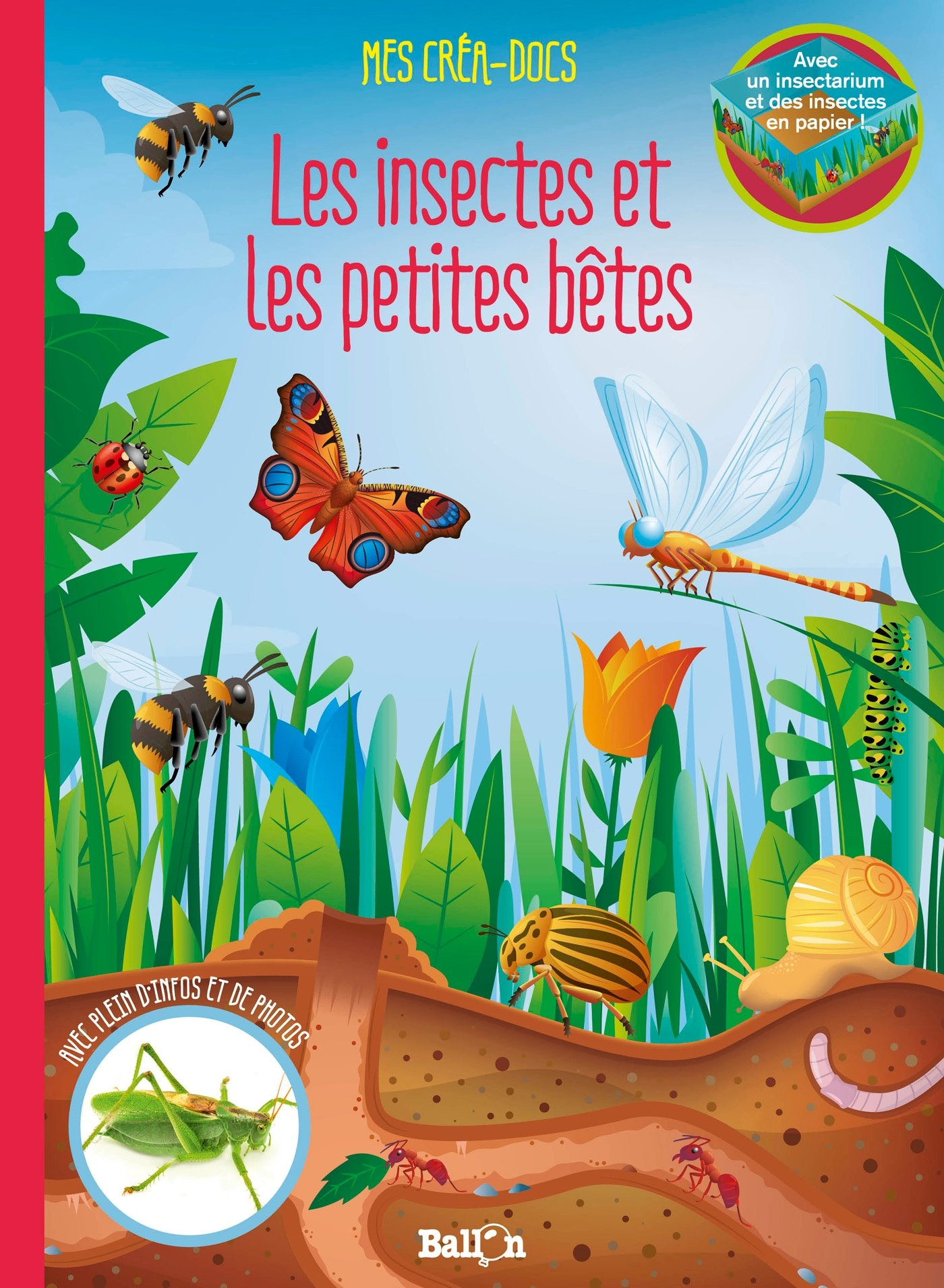 Les insectes et les petites bêtes