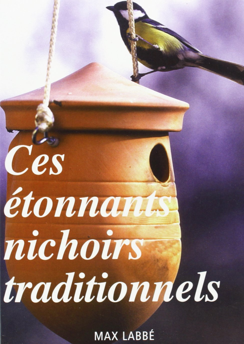 Ces étonnants nichoirs traditionnels : ouvrage d'étude et guide pratique de construction