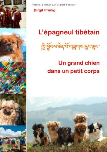 L'épagneul tibétain : Un grand chien dans un petit corps