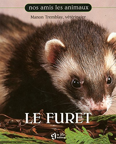 Le furet