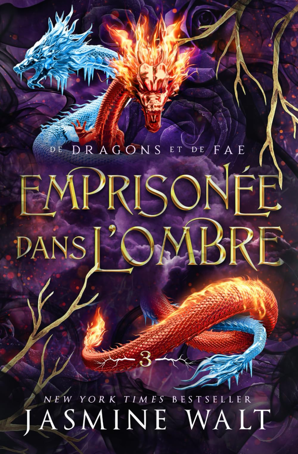 Emprisonée dans l?Ombre