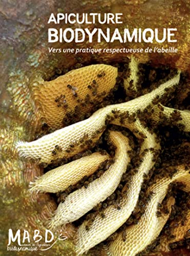 Apiculture biodynamique : vers une pratique respectueuse de l'abeille