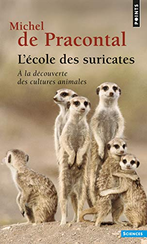L'école des suricates : à la découverte des cultures animales
