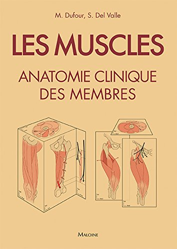 Les muscles : anatomie clinique des membres : 250 fiches illustrées