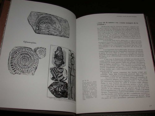 Fossiles de tous les temps