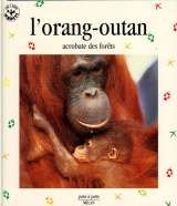 L'orang-outan : acrobate des forêts
