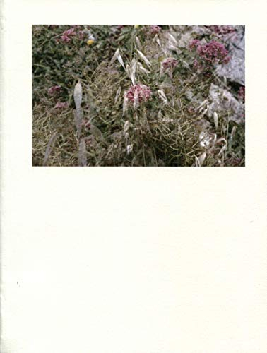 Cécile Bortoletti : sur-nature, une promenade homodiégétique : commande photographique, Villa Noaill