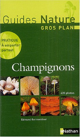 Gros plan sur les champignons