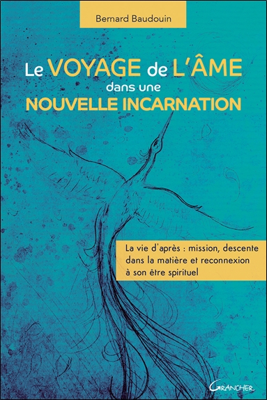 Le voyage de l'âme dans une nouvelle incarnation : la vie d'après : mission, descente dans la matièr