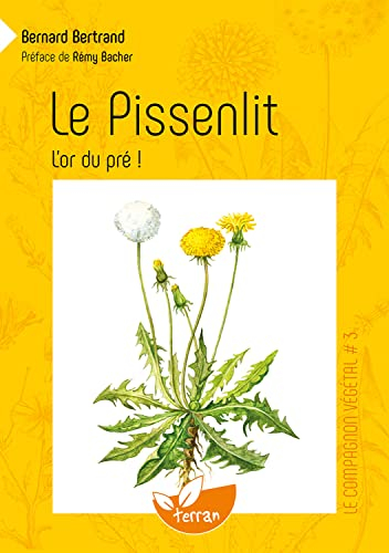 Le pissenlit, l'or du pré