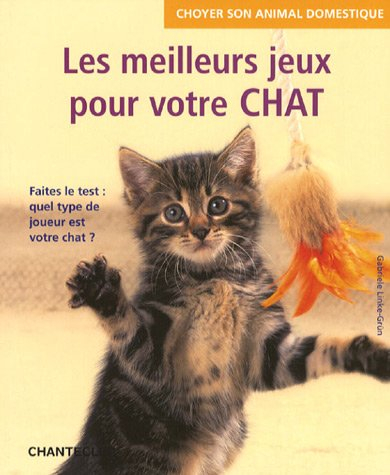 Les meilleurs jeux pour votre chat : faites le test, quel type de joueur est votre chat ?