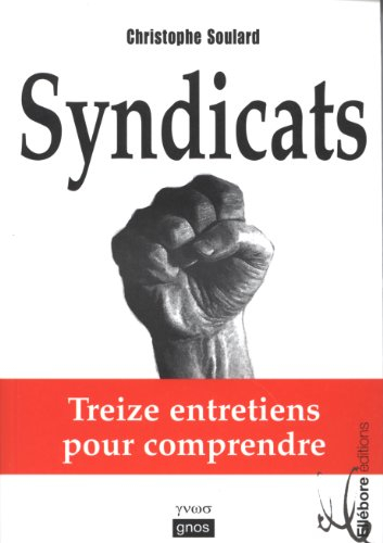 Syndicats : treize entretiens pour comprendre