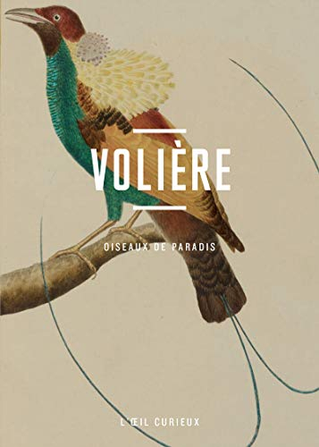 Volière : oiseaux de paradis