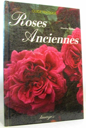 les roses anciennes
