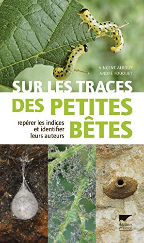 Sur les traces des petites bêtes : repérer les indices et identifier leurs auteurs