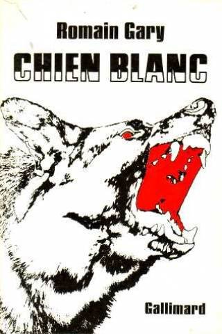 chien blanc