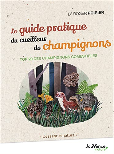 Le guide pratique du cueilleur de champignons : top 20 des champignons comestibles