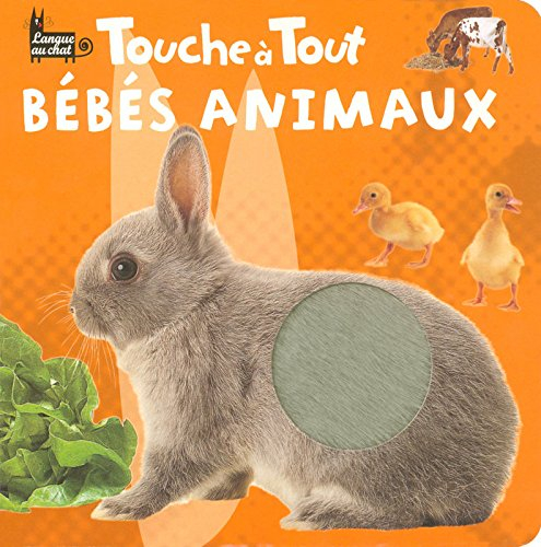 Bébés animaux