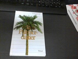 Le palmier-dattier