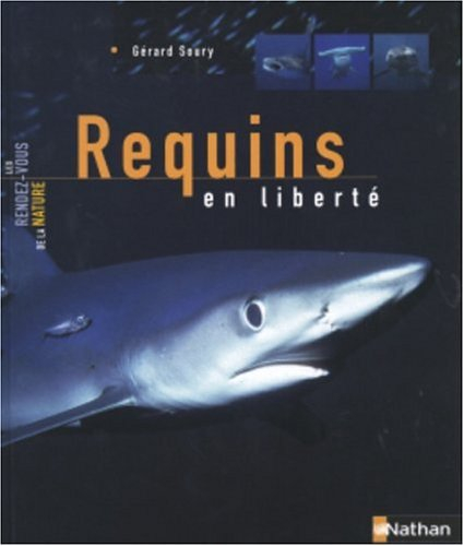 Requins en liberté