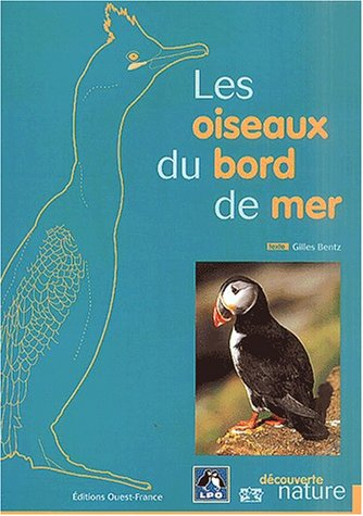 oiseaux du bord de mer