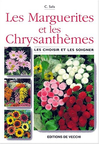 Les marguerites et les chrysanthèmes