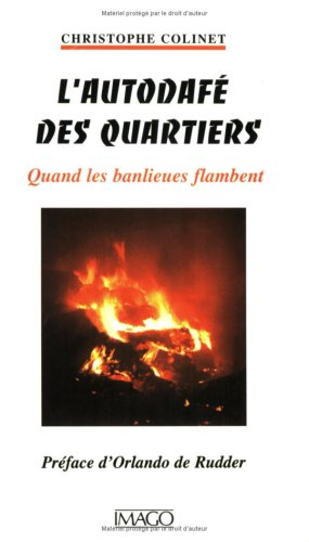 L'autodafé des quartiers : quand les banlieues flambent