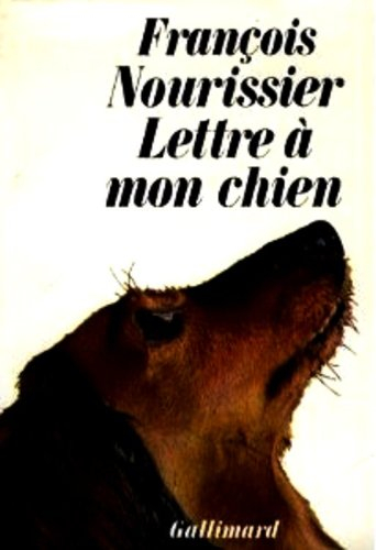 lettre à mon chien