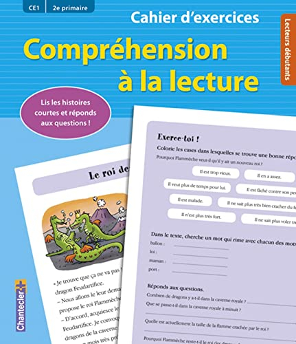 Compréhension à la lecture : lis les histoires courtes et réponds aux questions ! : CE1, 2e primaire