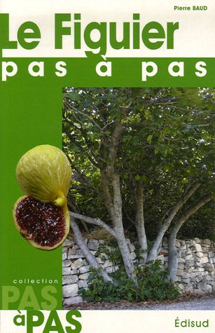 Le figuier