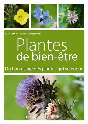 Plantes de bien-être : du bon usage des plantes qui soignent