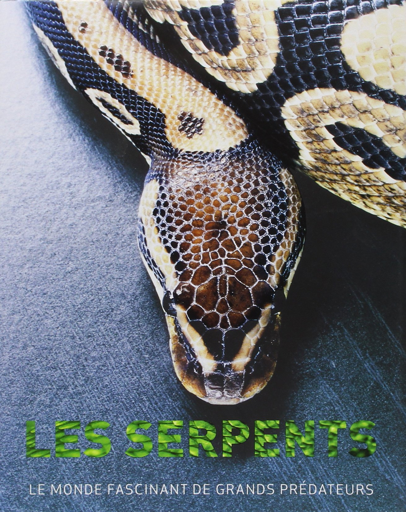 Les serpents : le monde fascinant de grands prédateurs